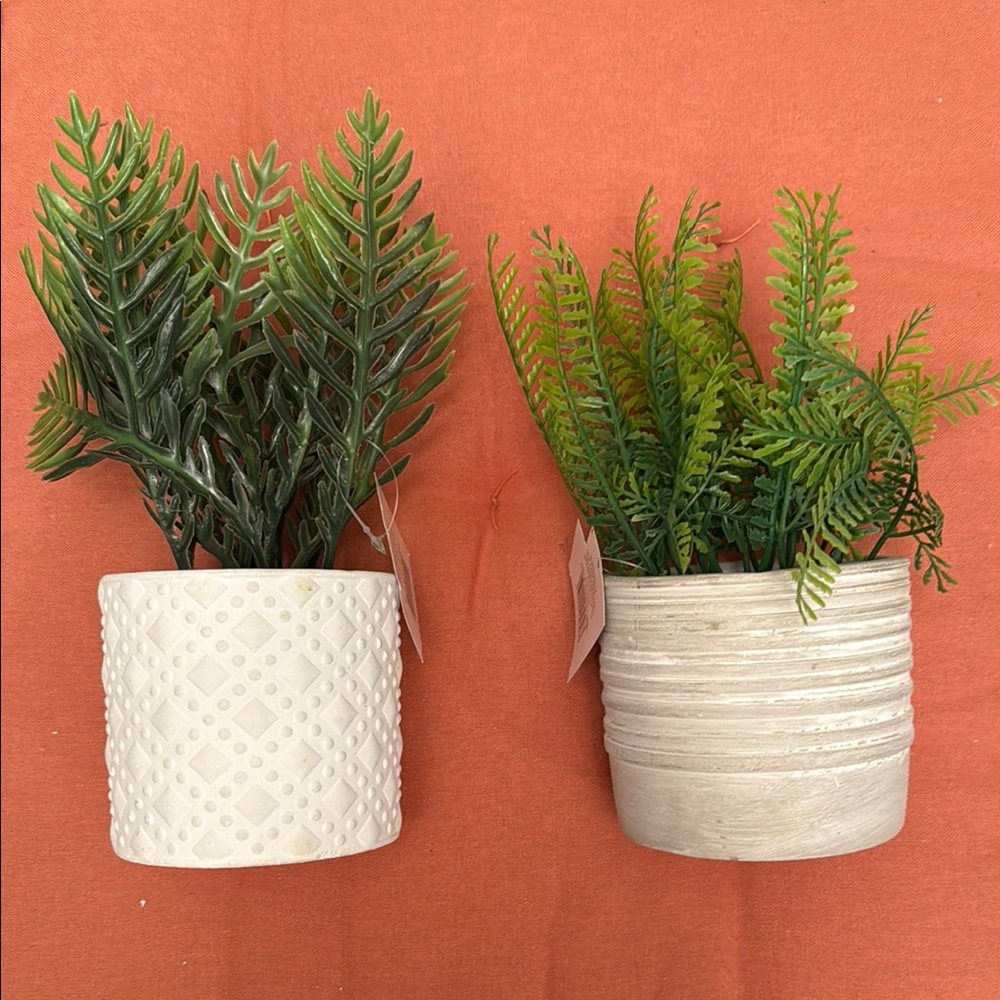 Decorative Greenery in White and Gray Planters - Picture 3 of 8